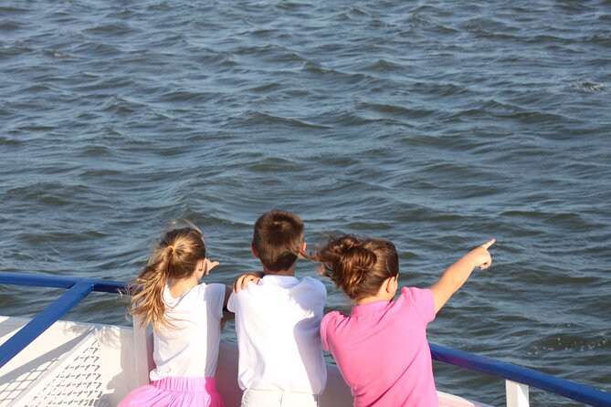 1.5-Hour Charleston Harbor Cruise with Live Narration - What 90 minutes on the water feels like (and why it’s worth $40)
