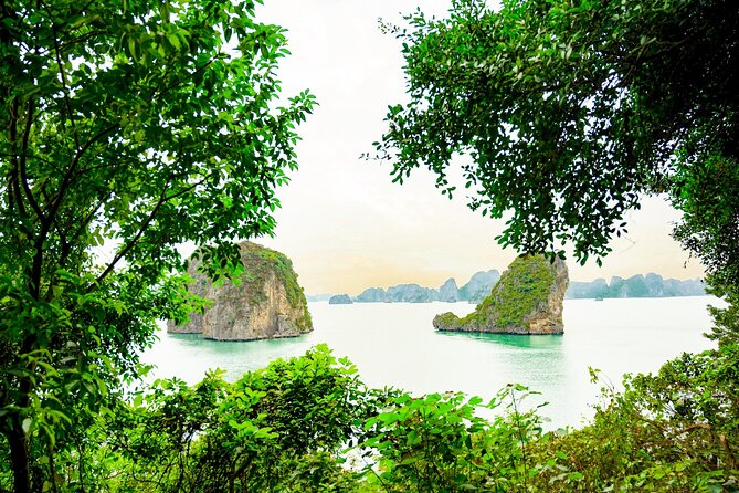 1-Day Bai Tu Long Bay Cruise: Pristine, Fun & Away fr the Crowds - Kayaking Time: Short, Fun, and Best When You’re Ready to Paddle