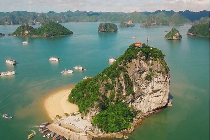 1 Day Tour to Halong Bay Cruise from 3 - 5 star Cruise & Transfer - Hang Luon Cave by kayak or bamboo boat: the optional workout