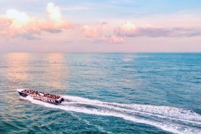 1-Hour Sea Rocket Sunset & OC Harbor Cruise in Ocean City, MD - Dolphin Search in the Atlantic or Assawoman Bay: What It Means for Your Chances