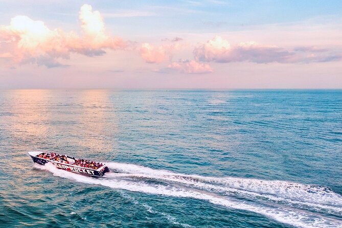 1-Hour Sea Rocket Sunset & OC Harbor Cruise in Ocean City, MD - Dolphin Search in the Atlantic or Assawoman Bay: What It Means for Your Chances