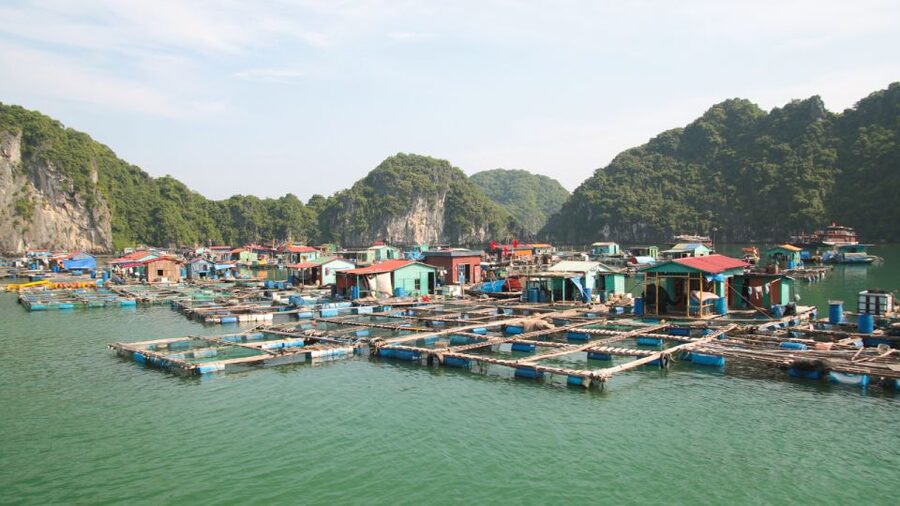 2-Day Ha Long Bay Cruise with Activities - Practical Tips to Make the Activities Work for You