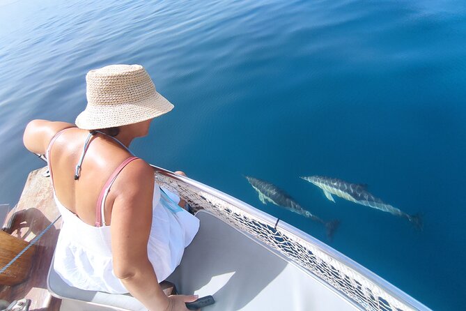 2 h Estepona Bay Tour - 5 key reasons this Estepona Bay cruise feels different