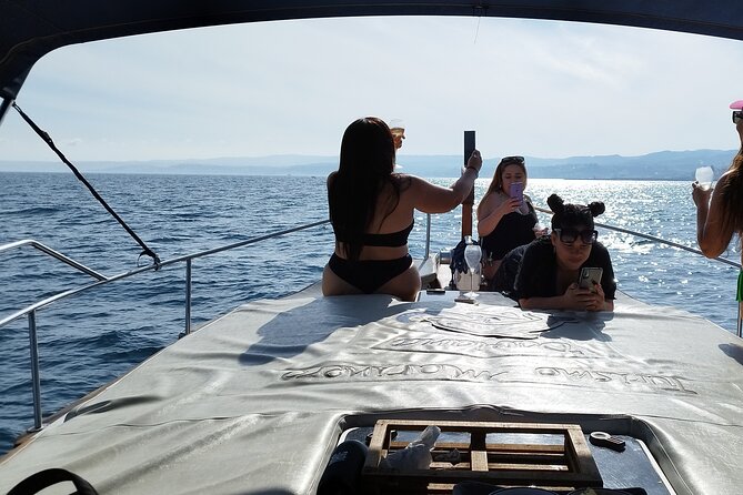 2 h Estepona Bay Tour - Swim window and wildlife spotting: dolphins, tuna, and more