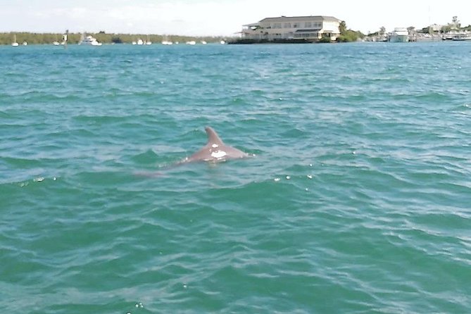 26 Ft Boat, Miami Bay Tour for 2 or 4 hours. 10 people - Meeting Point, Parking, and Getting On the Water Smoothly