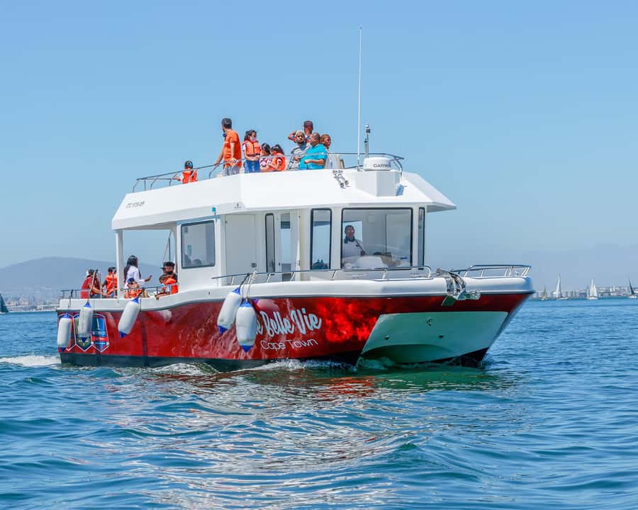 30min V&A Waterfront Harbour Cruise Cape Town - The 30-minute loop: V&A Waterfront to Cape Town harbour views