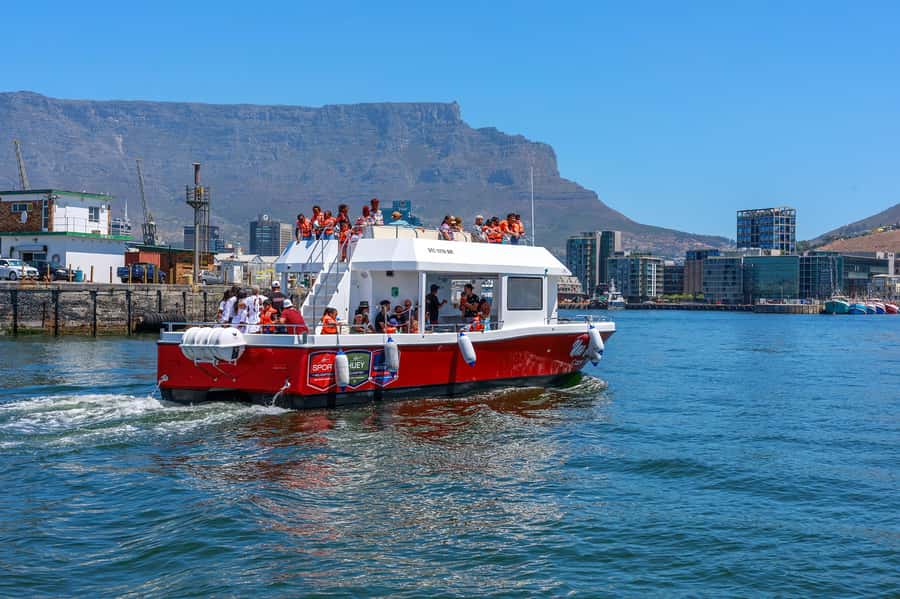 30min V&A Waterfront Harbour Cruise Cape Town - Who this cruise suits best (and why $9 feels fair)