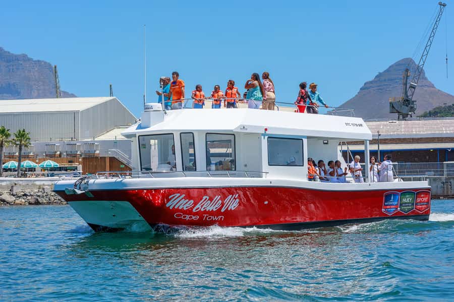 30min V&A Waterfront Harbour Cruise Cape Town - Comfort and practical tips for a smooth ride