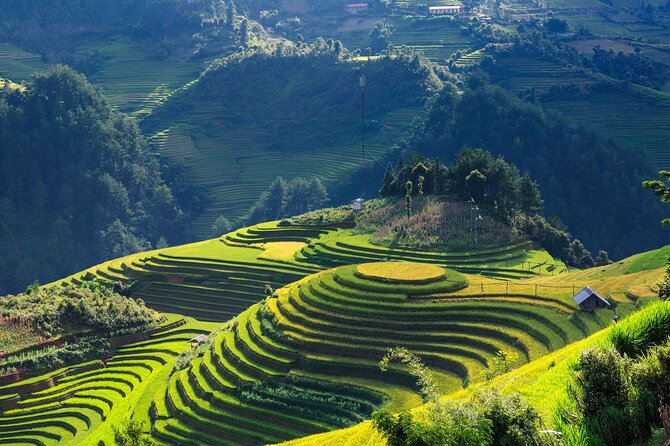 8-Days Hanoi, Sapa Trekking And Halong Bay Cruise - The Value of a Halong Bay Cruise: UNESCO Views Plus On-Water Time