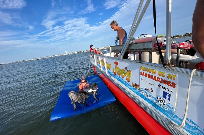 90 Minute Scenic Back Bay Cruise - Champagne Island sandbar time, swimming, and the rope swing buzz