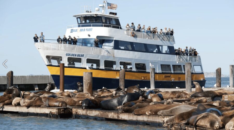 Alcatraz Island Prison Tour & Bay Cruise Combined Package - After the audio: exploring at your own pace (and catching the views)