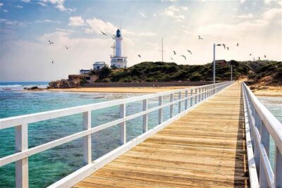 Around the Bay Sightseeing and Bay Cruise - Narana Aboriginal Cultural Centre: more than a quick stop
