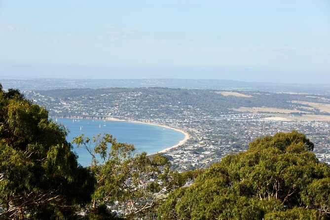 Around the Bay Sightseeing and Bay Cruise - London Bridge on Portsea Beach: a quick nature photo you’ll remember
