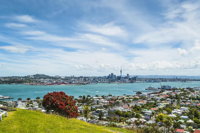 Auckland Harbour Cruise - Waitematā Harbour in motion: where the skyline feels bigger