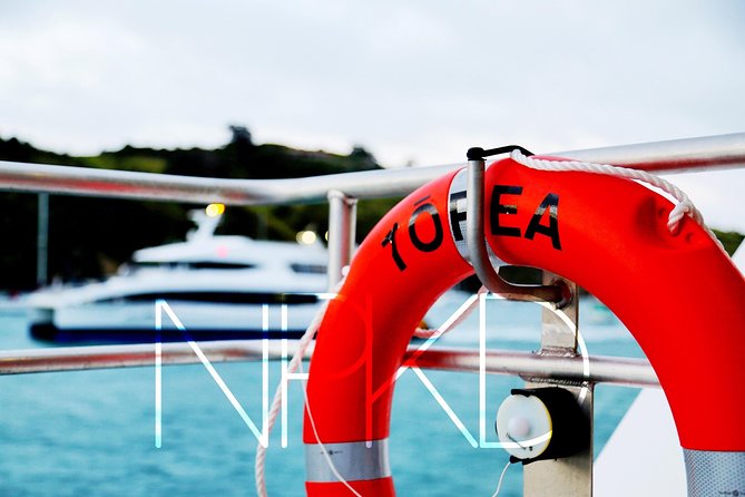 Auckland Harbour Cruise - Who should book this harbour cruise (and who might want something else)