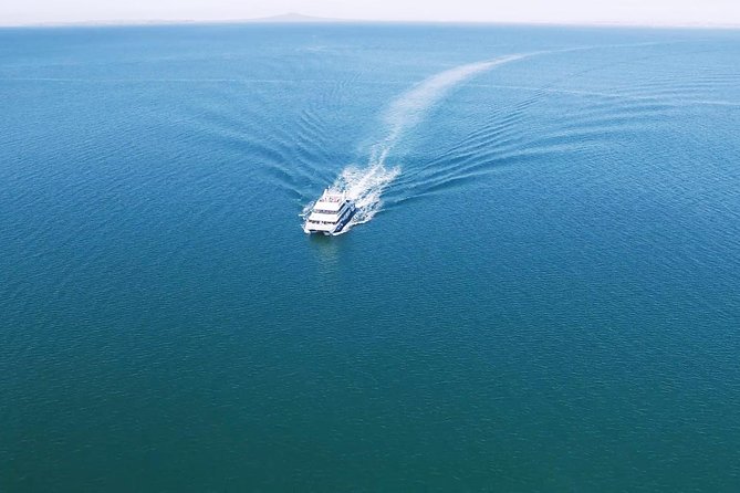 Auckland Harbour Cruise - Live commentary that turns scenery into context (and when to watch your volume)