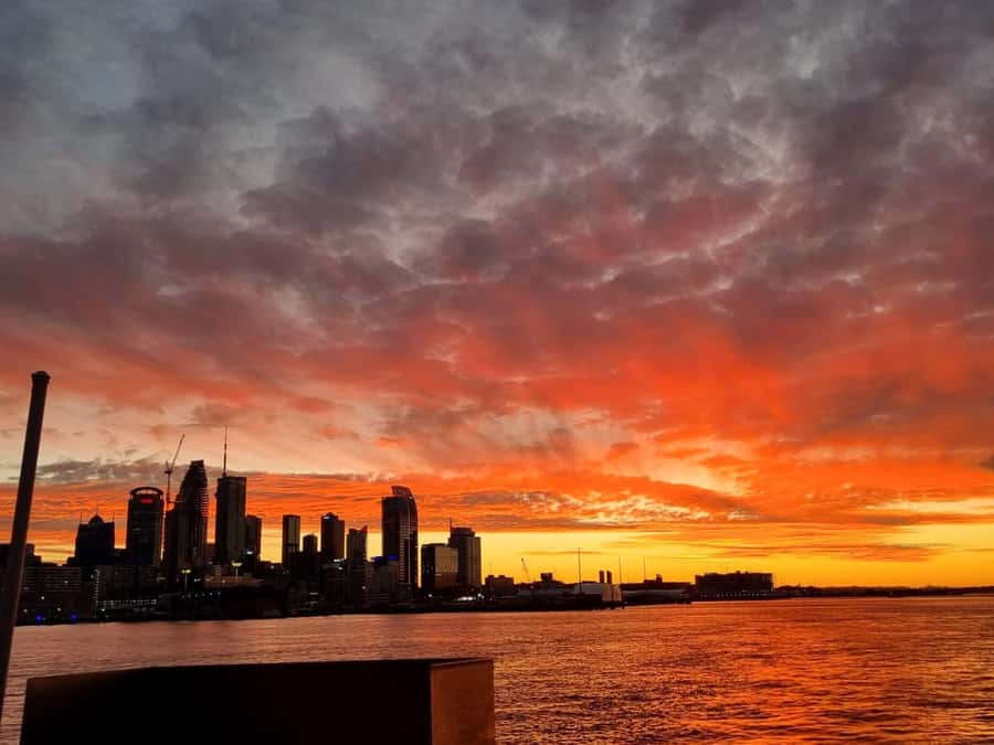 Auckland: Nightlights Harbour Cruise with Canapés and Drink - Cruise basics: what you’re really buying for $38