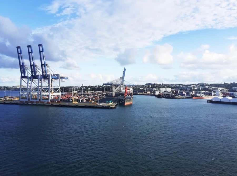 Auckland: Scenic Harbour Cruise with Live Commentary - Finding the Red Boats at Z Pier (Billfish Café makes it easier)