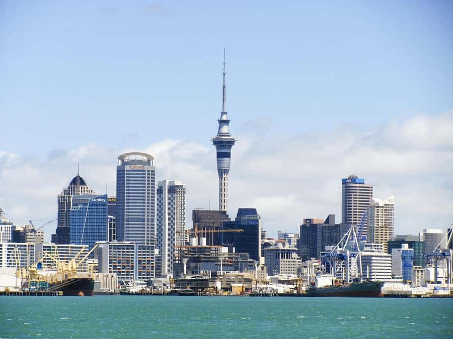 Auckland: Scenic Harbour Cruise with Live Commentary - Live English Commentary: Handy Context Without Overload