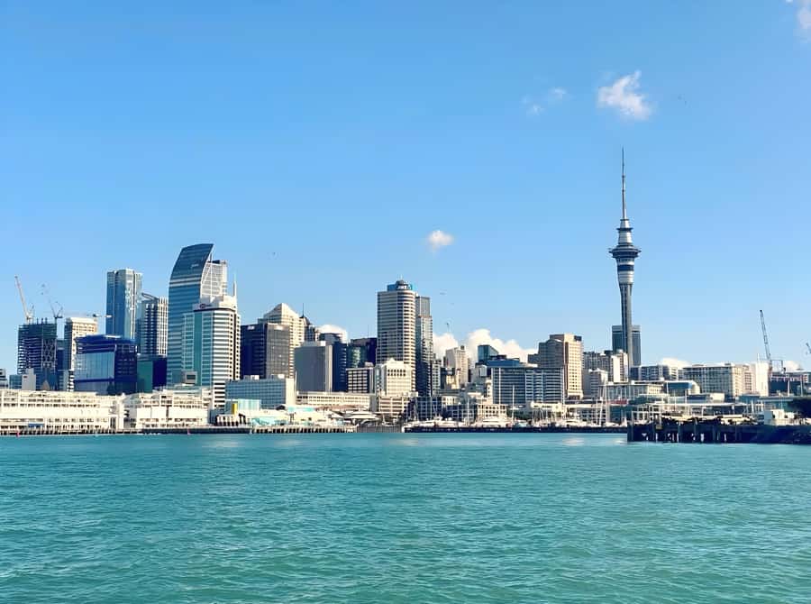 Auckland: Scenic Harbour Cruise with Live Commentary - Price and Value: How $17 Really Adds Up