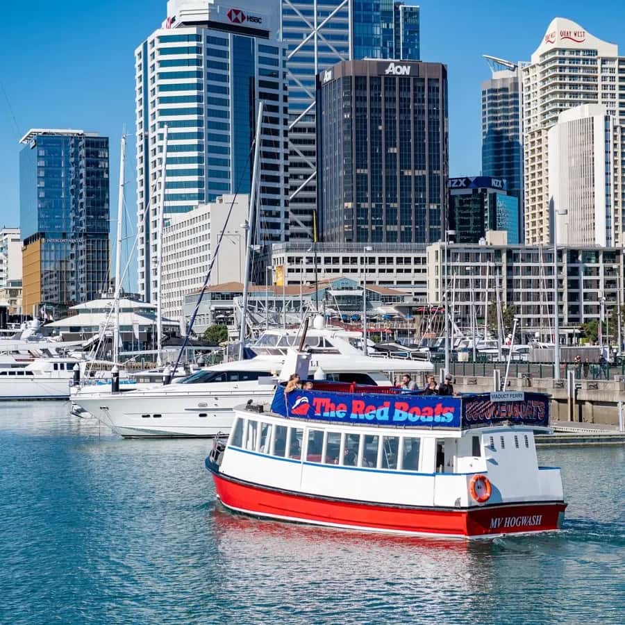 Auckland: Scenic Harbour Cruise with Live Commentary - Timing, Seating, and Comfort: Small Tips That Make a Big Difference
