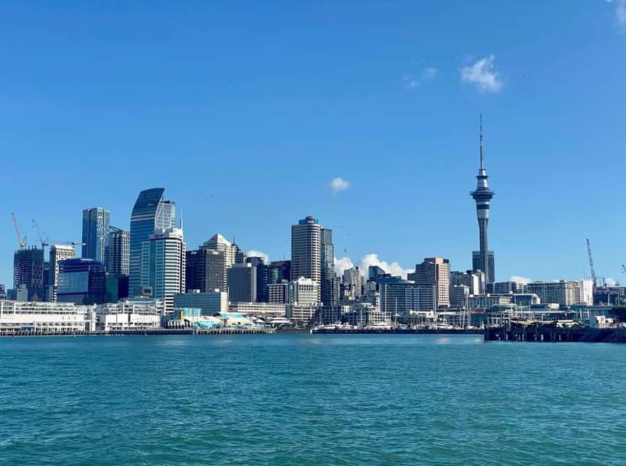 Auckland: Scenic Wine and Cheese Harbour Cruise - Live Commentary and Background Music: How to Get the Best Audio