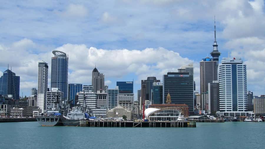 Auckland: Scenic Wine and Cheese Harbour Cruise - Who Should Book This Cruise (And Who Might Want Something Else)
