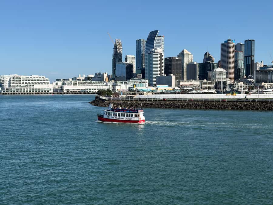 Auckland: Scenic Wine and Cheese Harbour Cruise - Where You Board: Z Pier Westhaven Marina (Red Boats)