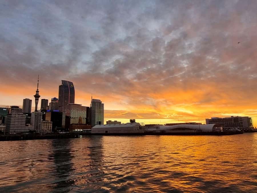 Auckland Sunset Harbour Cruise - What happens once you’re onboard (your first views)