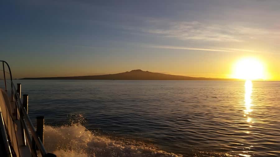 Auckland Sunset Harbour Cruise - Finding The Red Boats at 31 Westhaven Drive (and avoiding stress)
