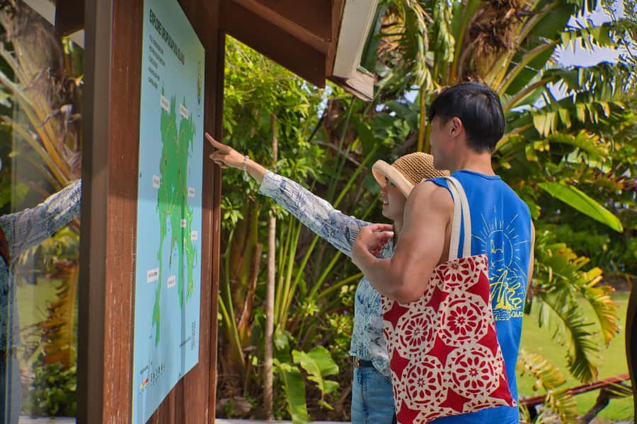 Bay of Islands: Discover the Bay Cruise with Island Lunch - Otehei Bay on Urupukapuka Island: lunch plus real time ashore