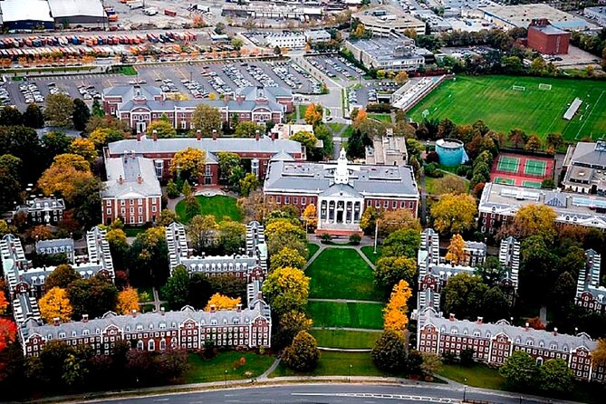 Best Of Boston: Harvard, MIT, Harbor Cruise Small Group Day Trip - Boston Harbor Cruise in summer: the scenic reset you’ll notice most
