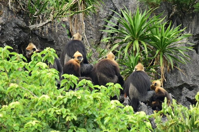 BEST UNIQUE 3-Day Halong Bay Cruise, Lan Ha & Cat Ba Island - Cabins, showers, and the reality of “deluxe” on cruise tours