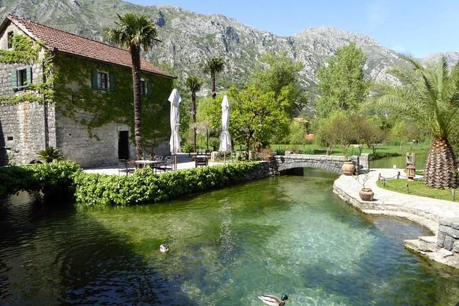 Boka Bay tour by car or speedboat (Private tour) - Price of $196.46 per person: is it good value?
