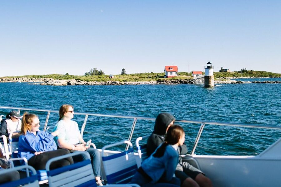 Boothbay Harbor Cruise: Lighthouses, Lobster Haul, and Seals - Price and value: what you get for about $40 per person