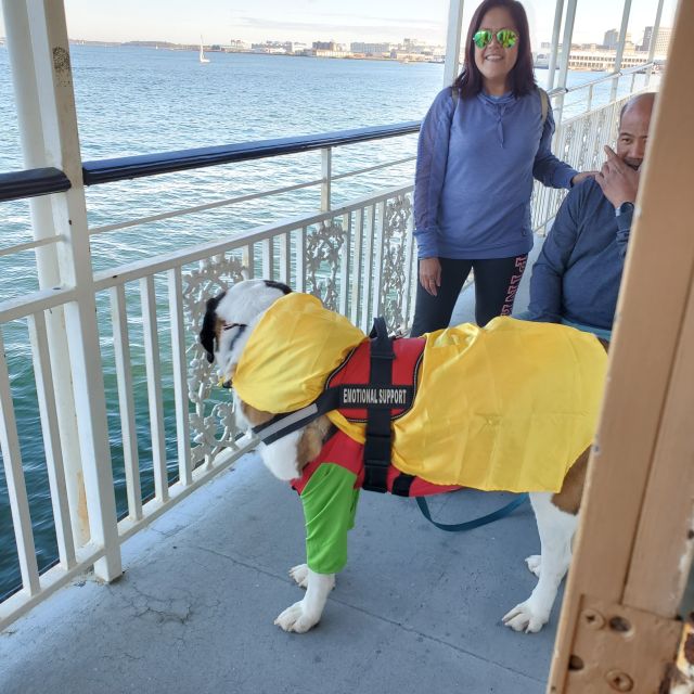 Boston: Scenic Harbor Cruise (Dog-Friendly) - Finishing at the North End: how to roll right into more sightseeing