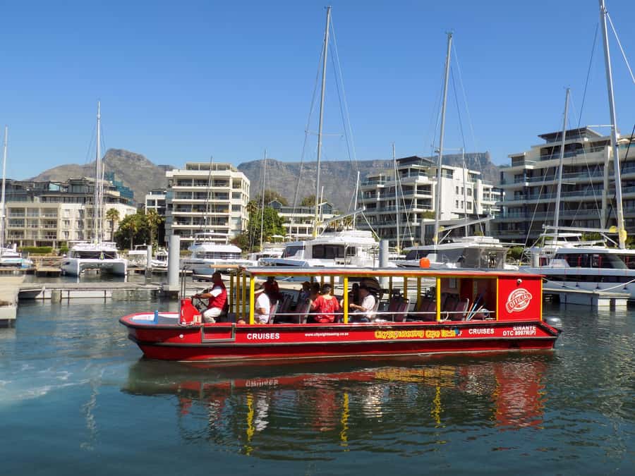 Cape Town: 30 Minute Seal-Watching Harbour Cruise - Getting on the boat: meet at the Two Oceans Aquarium
