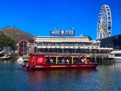 Cape Town: 30 Minute Seal-Watching Harbour Cruise - The V&A Waterfront loop: why this route feels efficient