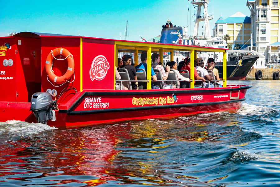 Cape Town: 30 Minute Seal-Watching Harbour Cruise - What you learn from the harbour: ships, docks, and maritime context