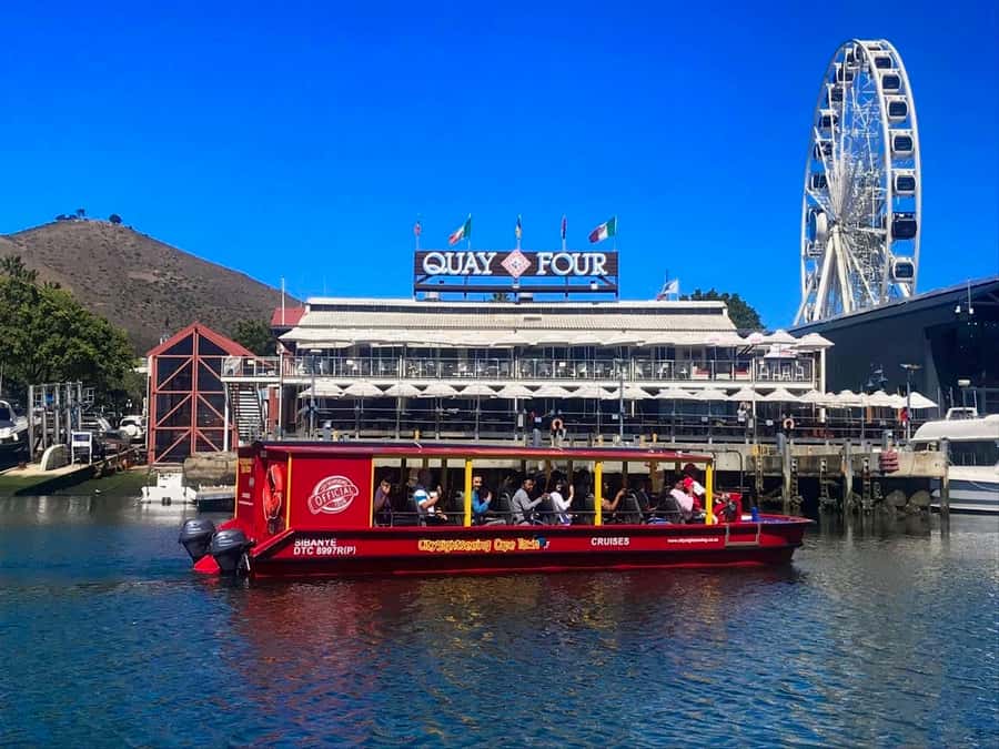 Cape Town: 30 Minute Seal-Watching Harbour Cruise - The V&A Waterfront loop: why this route feels efficient