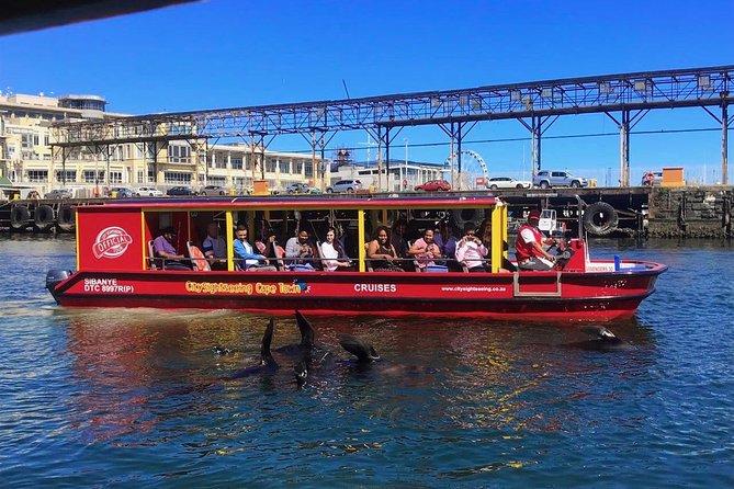 Cape Town 30-minute V&A Harbour Cruise - Where You Board at V&A Waterfront: 40 Dock Rd Setup