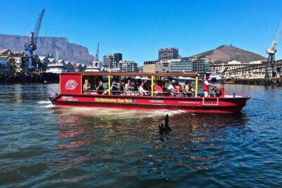 Cape Town 30-minute V&A Harbour Cruise - What You’ll See: Alfred & Victoria Basins, Seals, and Ships