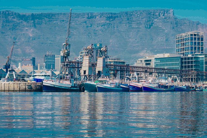 Cape Town 30-minute V&A Harbour Cruise - Weather, Wind, and When It Feels Cold on the Water