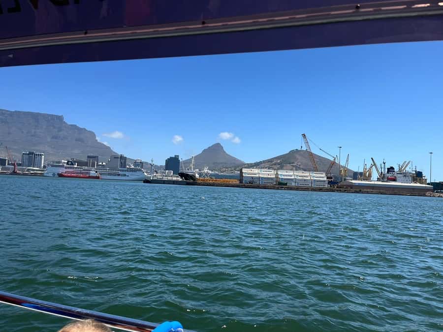 Cape Town: Harbor Cruise - Harbor Cruise Basics: What You’re Really Paying For