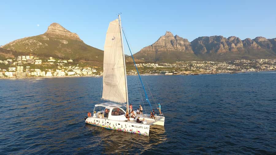 Cape Town: Table Bay Cruise by Catamaran - Table Bay on a 39-Foot Catamaran: The Big Idea
