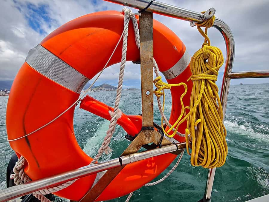 Cape Town: Table Bay Cruise by Catamaran - Onboard Escape Cat: Where You’ll Sit and How the Experience Feels