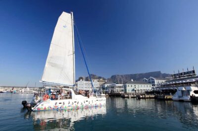 Cape Town: Table Bay Cruise by Catamaran - Meeting Wild Horizons Waterfront Adventures and Getting Settled