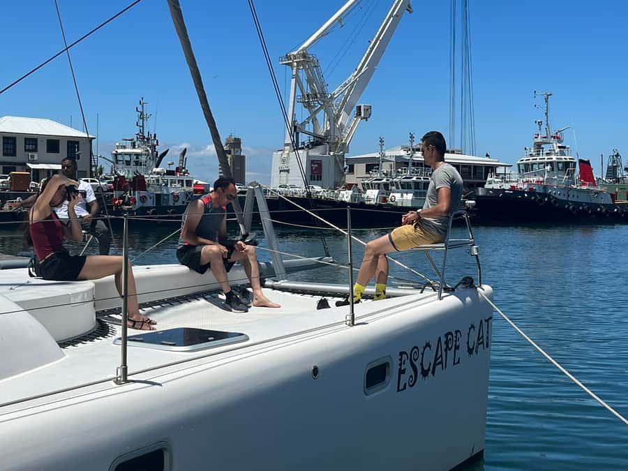 Cape Town: Table Bay Cruise by Catamaran - Who This Cruise Suits Best (and Who Might Prefer Another Option)