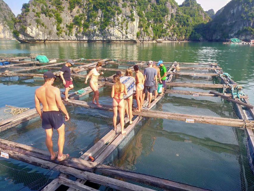 Cat Ba: 2-Day Lan Ha Bay Cruise with Plankton Excursion - Bat Cave, Dark Cave, Bright Cave: Kayaking Through Narrow Passages
