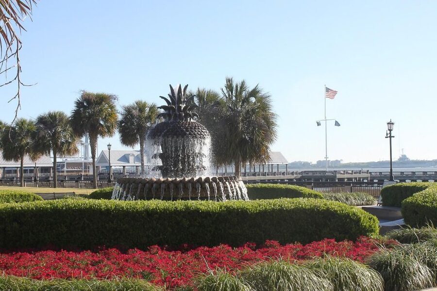 Charleston: Historic City Tour and Harbor Cruise - What the price covers, and why $71 can still feel like a win